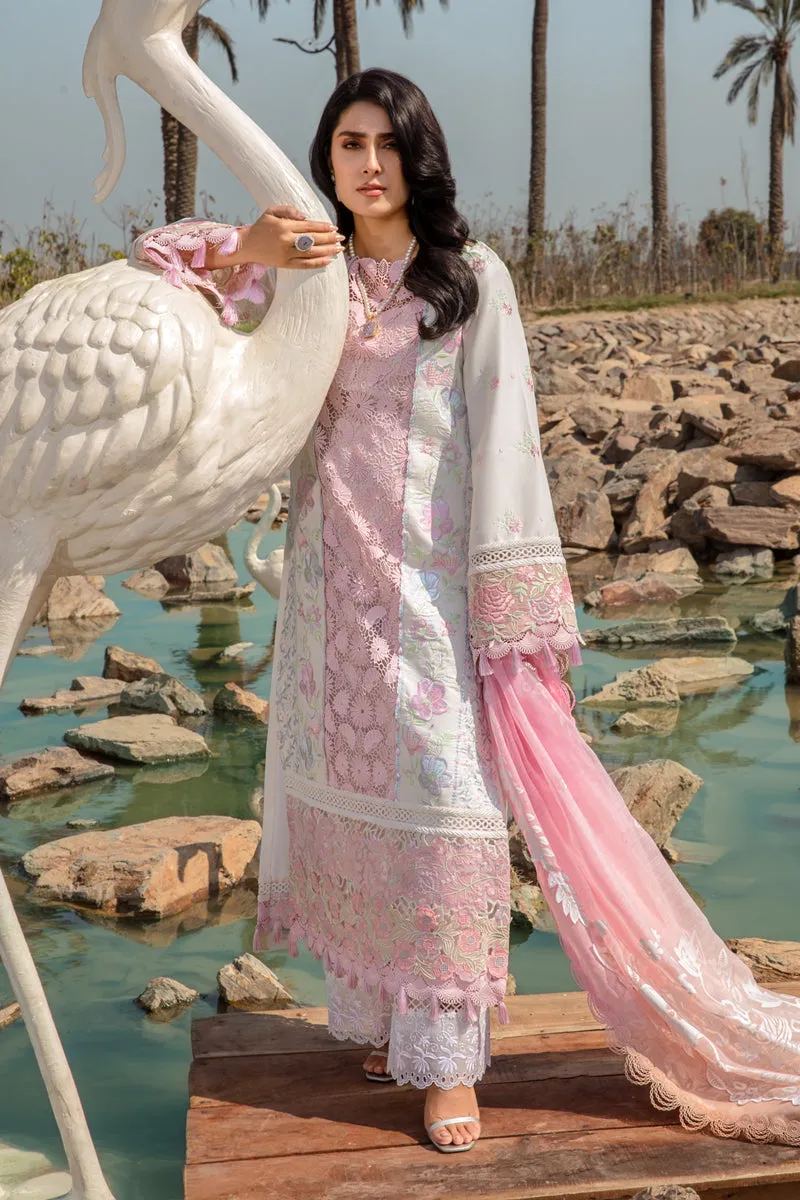 Rang Rasiya Luxury Festive Lawn Collection – Hoorian